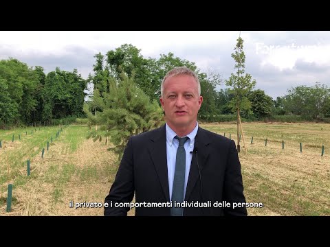 Forestami 2022 - Intervista - Perfetti Van Melle