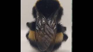 Deadbeat - Rage Against The Light (Instrumental)