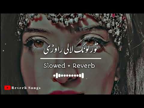 Tor Lawang {Slowed +Reverb } Pashto New Songs 2023 @uhedits911