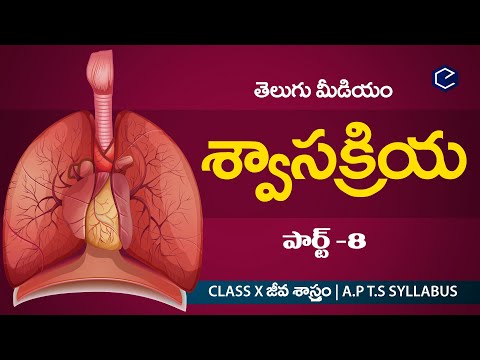 శ్వాస క్రియ Swasakriya part-8 |  Biology Respiration