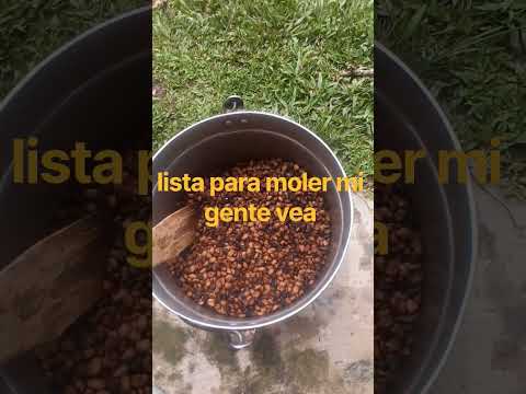 Como Tostar Café en Casa en Leña | Café 100% Puro de Santander Colombia ☕️