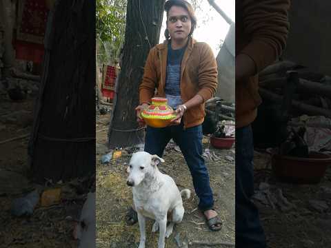 #happybirthday 🎉#dogs 🐕🎁#doggift 🎁#petvlog #viralshots (Raheem Qureshi)