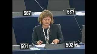 Alapvető jogok helyzetet az EU-ban – plenáris felszólalás