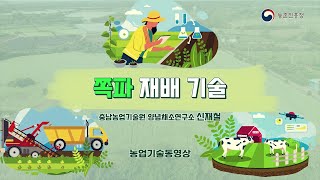 쪽파 재배 기술