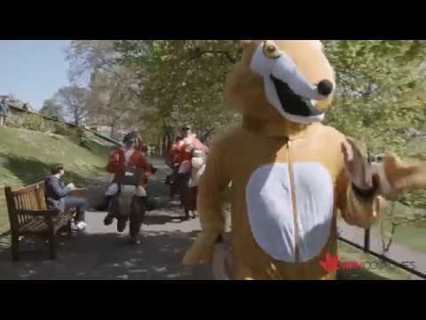 FOX HUNTERS | MorphCostumes