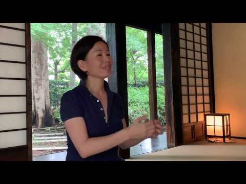 The robotization of society: Japan and Estonia