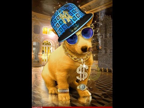 Rayren98 Twitter