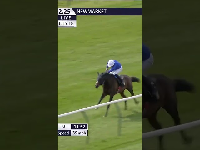 Thumbnail for Post ID: fvgzReBHNzE