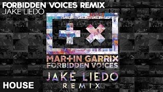 Martin Garrix - Forbidden Voices (Jake Liedo Remix)