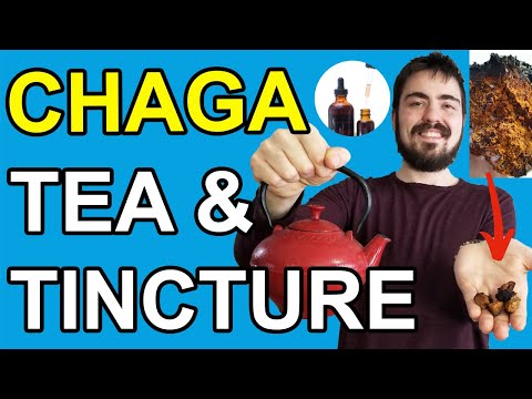 How To Make Wild Chaga Mushroom Tea and Tincture - COMPLETE GUIDE W/ BENEFITS (NEW 2020)