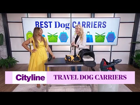 The Latest and Greatest in Dog Carriers: A Comprehensive Review