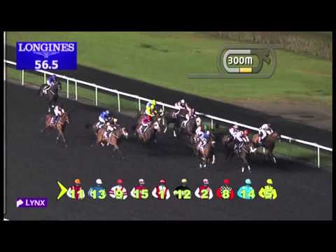 02.02.2013 Meydan (Dubai-UAE) 2.Race Longines Dolce Vita - 1.200 m
