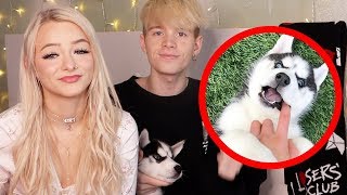 WE ADOPTED OUR FIRST PUPPY! FT. Zoe Laverne & Cody Orlove