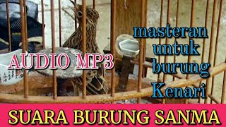 Download lagu Suara burung sanma mp3