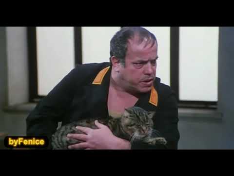 ...come si vende la droga???? Bombolo e Pippo Franco