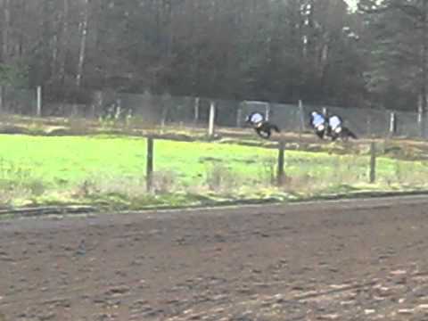Vlucht en Draf - Langdorp (22-04) Pony's 3 (2)
