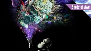 Shots of Awe: The Creative Urge