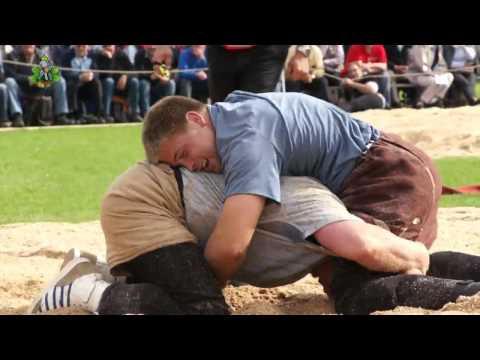 Schwingen; Baselstädtisches Schwingfest 2012