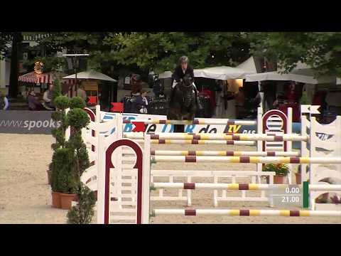 Die Verbandshengste 2020 - Diarado v. Diamant de Semilly-Corrado I