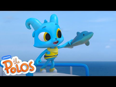 Echolocation | MarcoPolo World School | Learn At Home - Kingdom Kids Zone, Little Learners - The Polos and MarcoPolo Learning
