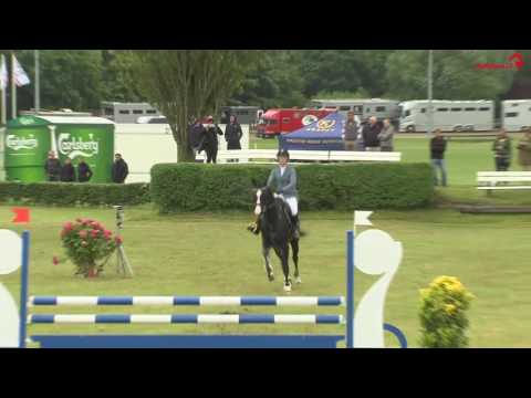 Hengststation Maas J. Hell - Jennifer Fogh Pedersen + Central Park