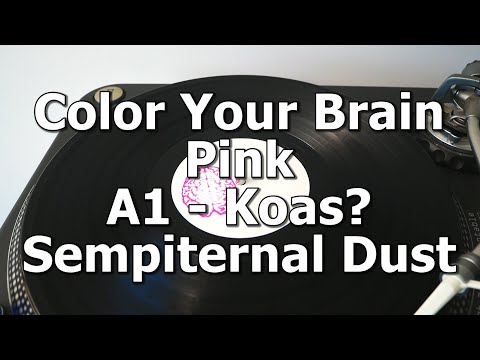 Color Your Brain Pink - A1 - Koas? - Sempiternal Dust