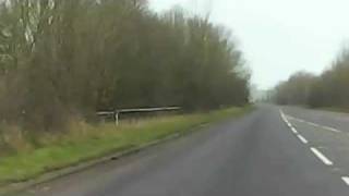 The Last White Lion Ride