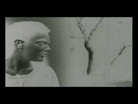 Jennylee ft. Warpaint - Clinique