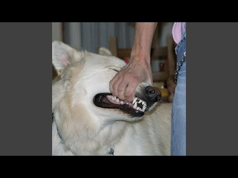 I Just Want To Hold Her - sign crushes motorist