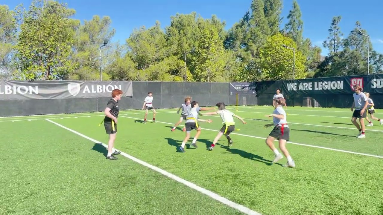 Sharks & Minnows - Rugby Time!