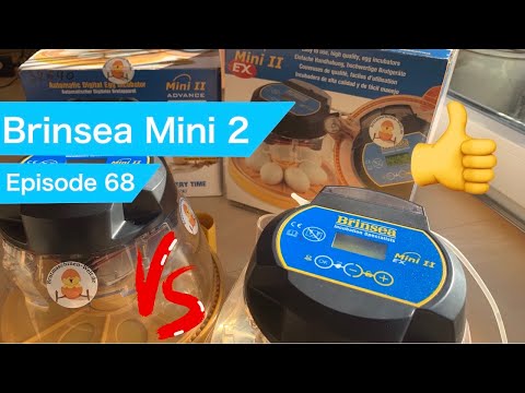 Vergleich der Brinsea Mini 2 Advance und Ex  Brutmaschine   4K