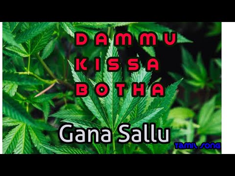 Dammu kissa botha song (dammu song) /ganja song/gana song