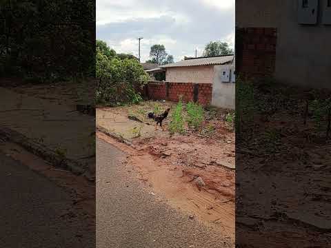 Loanda Paraná 😆😆