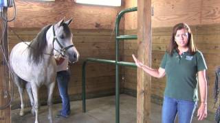 Horse Safety: Cross Tying a Horse
