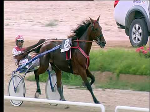 Trotto 07/06/2018 - 5ª corsa