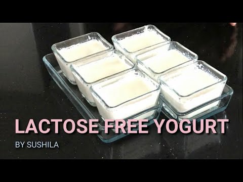 Lactose Free Yogurt Recipe | Yogurt Recipe | How to...