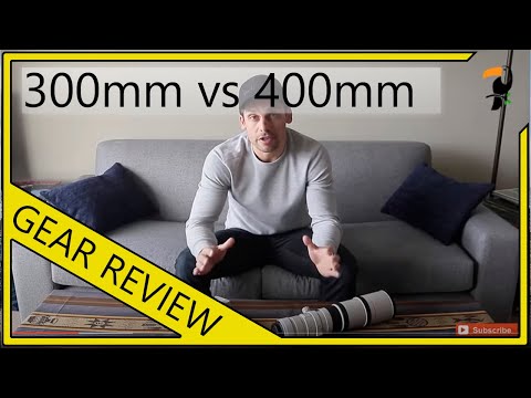 Photography Equipment - 300mm f/4 + 2x vs 400mm f/5.6 + 1.4x