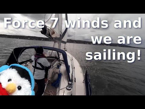 Northern Ireland - Sailing in Force 7 winds - Belfast - Bangor - Ep. 233
