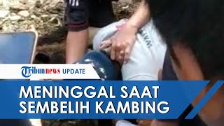 Video Detik-detik Jagal di Tasik Meninggal Mendadak saat Sembelih Kambing, Tiba-tiba Tertelungkup
