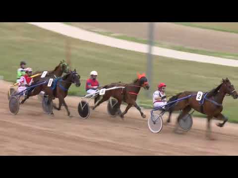 2022.05.28. 03. futam - 2022. ÉVI KINCSEM PARK KUPA IV. FUTAMA HENDIKEP