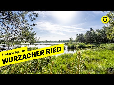 Naturschatz Wurzacher Ried: Moorerlebniswelt und Naturschutzgebiet