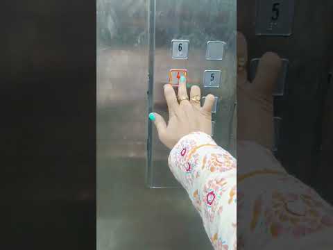 walking time 🐕🐶