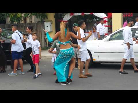 Nunta rosiori de vede 11/08/2015