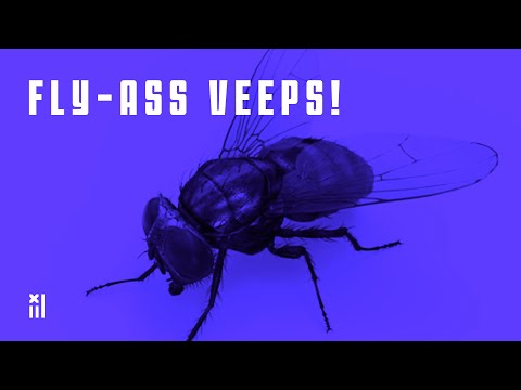 15: Fly-Ass Veeps! - 10.12.20