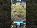 Видео превью