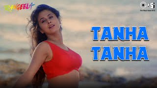Tanha Tanha Yahan Pe Jeena | Urmila Matondkar | Jackie Shroff | Asha Bhosle | Rangeela | A.R. Rahman