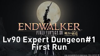 FFXIV Endwalker - Level 90 Expert Dungeon #1 First Run/Reaction
