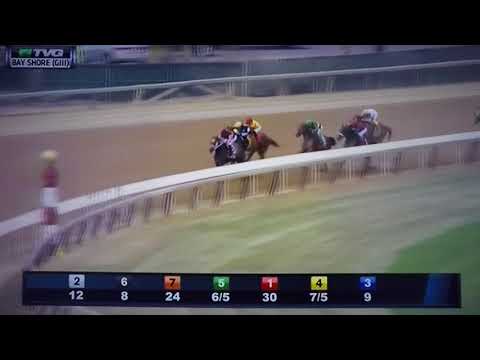 BAY SHORE (G 3) STAKES 4/7/18 - NATIONAL FLAG !!