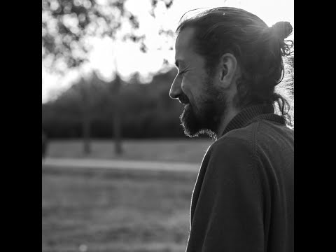 WOUT DINGEMANS - FALLING FREE