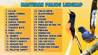 Download lagu 🔴 MASTER PALING LENGKAP!!! MASTER MURAI BATU || IJO CUCAK MASTER || KACER MASTER || 679 mp3 Download lagu 🔴 MASTER PALING LENGKAP!!! MASTER MURAI BATU || IJO CUCAK MASTER || KACER MASTER || 679 mp3